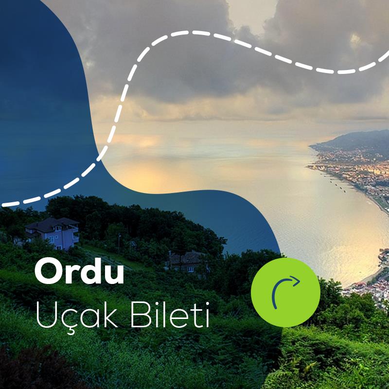 Ordu Uçak Bileti